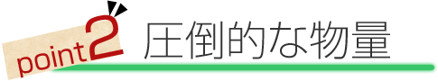 point2.圧倒的な物量