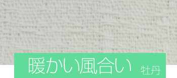 暖かい風合い 牡丹